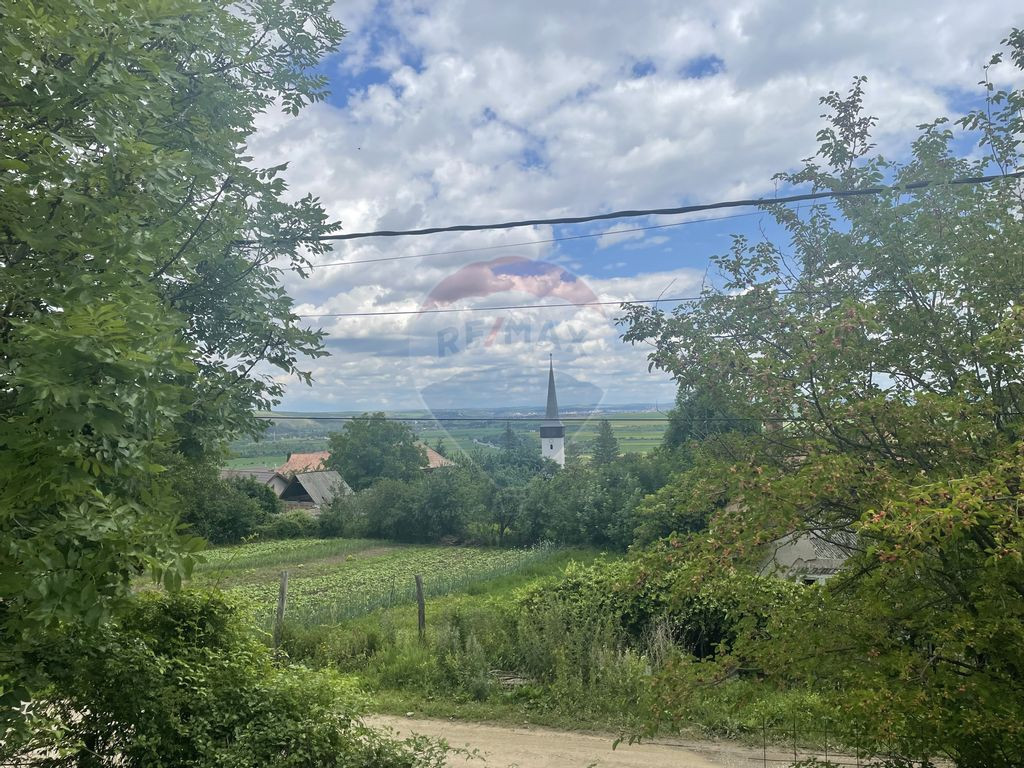 Teren / livada in Moldovenesti