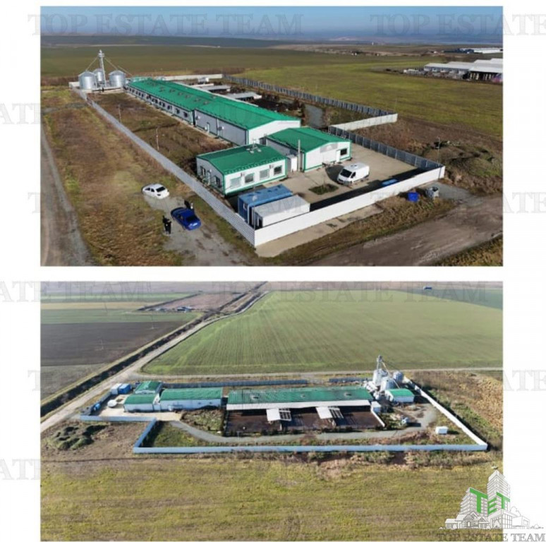 COMPLEX ZOOTEHNIC FERMA PORCINA