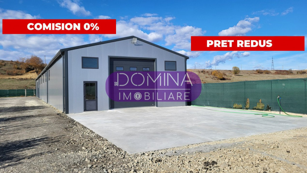 Hală industrială situată în Târgu Jiu - strada Merilor