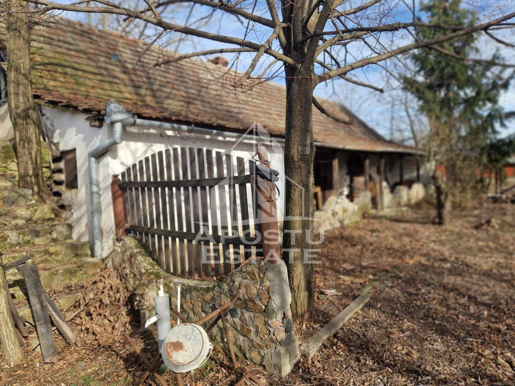 Casa individuala cu 3 camere ,teren 4222 mp in exclusivit...