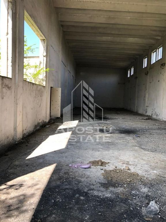 Teren 8000 mp cu hala de 700 mp