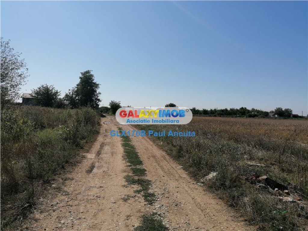 Teren Moara Vlasiei 2000 mp intravilan deschiderea de 32m