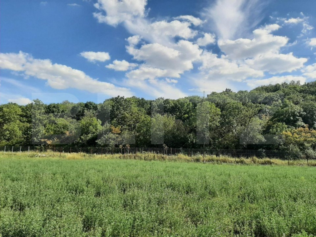 Teren Intravilan 1054 mp, la padure, toate utilitatile Victo