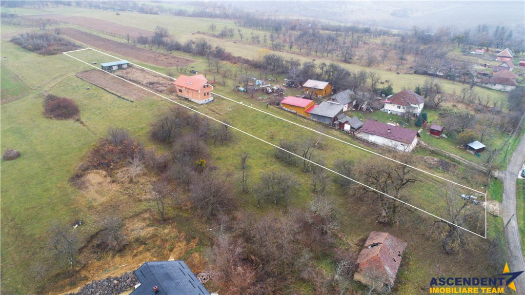 FILM! Casa si domeniu de 5.000mp, in Berchez:o bijuterie asc