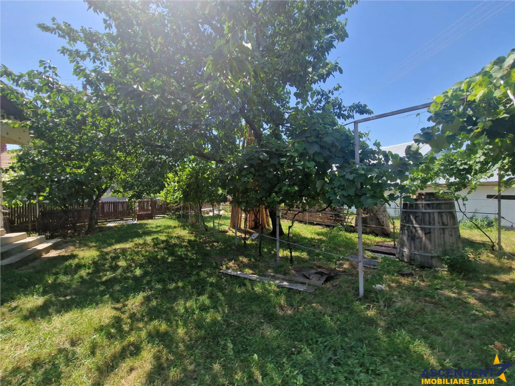 Casa traditionala, cu 2.000mp teren roditor, Izvoarele, Prah