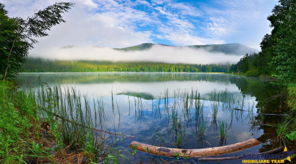 FILM! In pretios areal:oportunitate personalizare,Casa tere