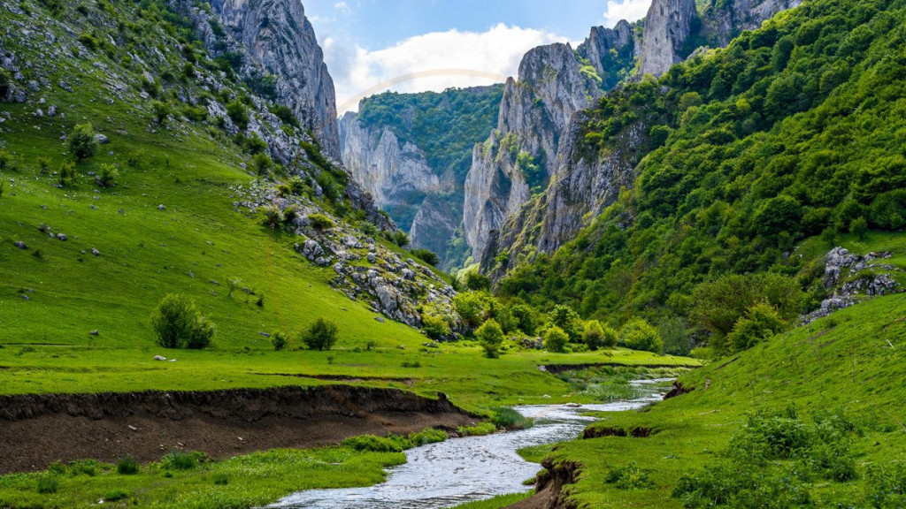 Domeniu Exclusivist de 14,000 mp în Cheia, Cluj - posibilit