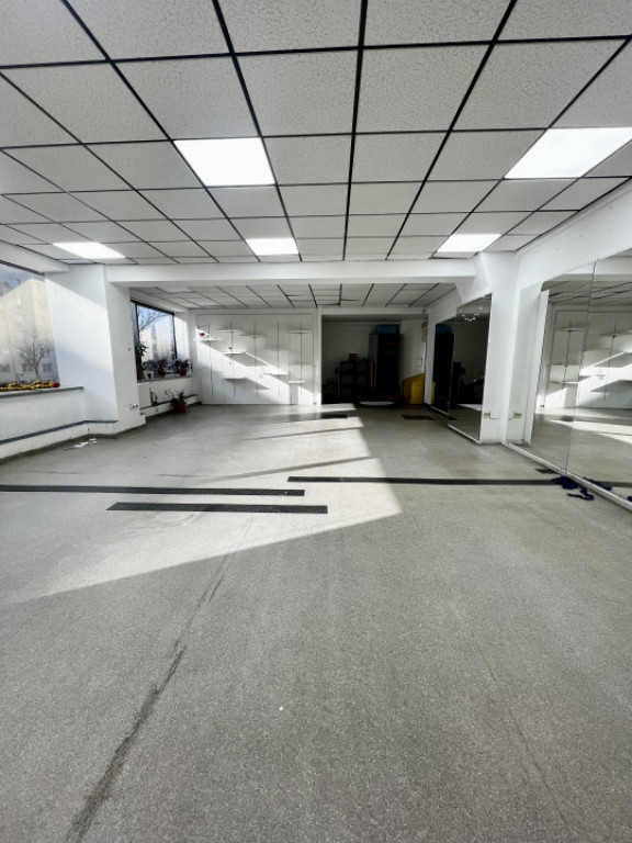 Birou + Depozitare - Lizeanu - Maica Domnului - Tei