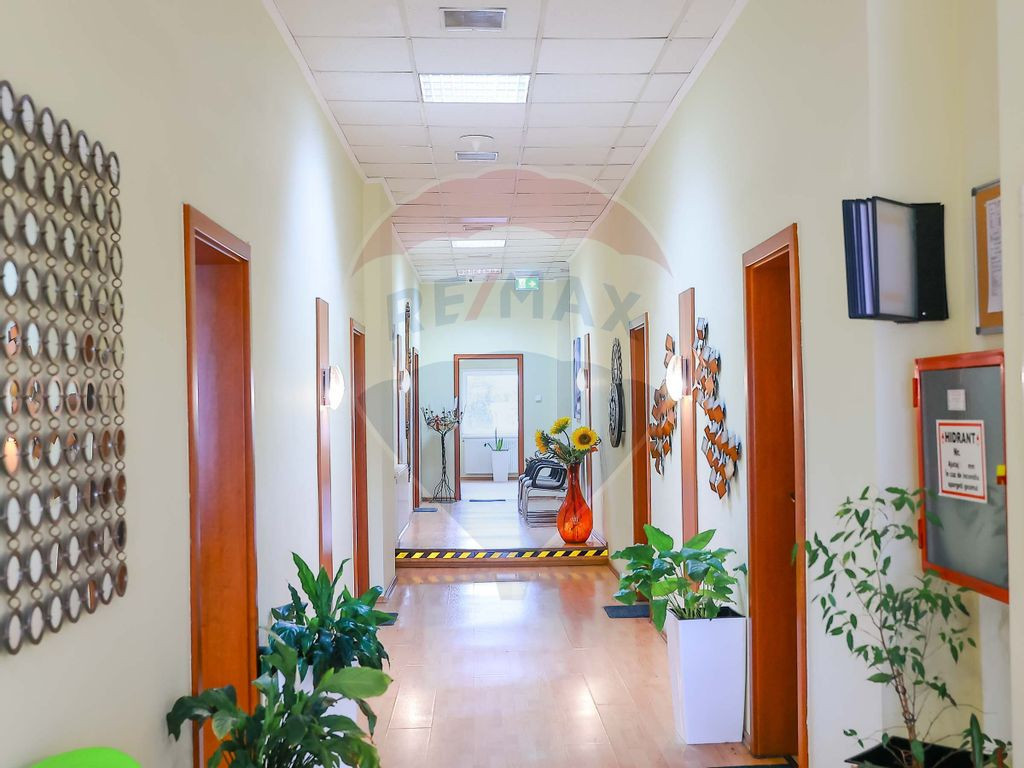 Hală, depozite, birouri și teren 3993 mp, Borșului, De...