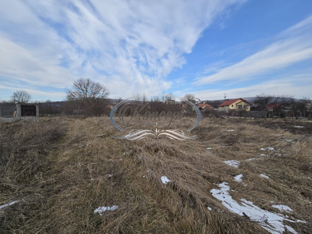 Teren cu autorizatie de constructie in Chinteni