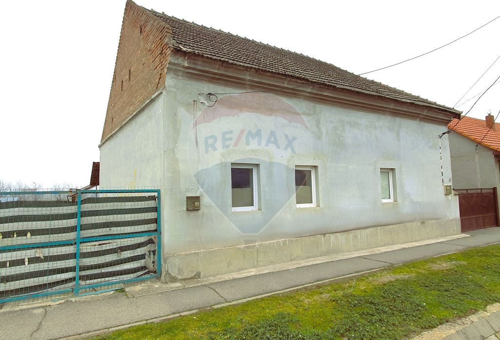 Proprietate cu 2 case Periam -Modernă, renovată, utilit...