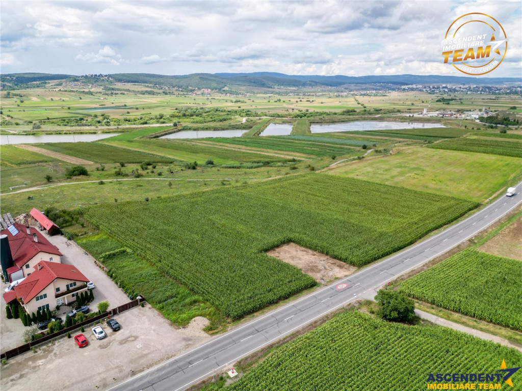 Teren arabil 3.000 mp, potential investitional, Coseni, Cova