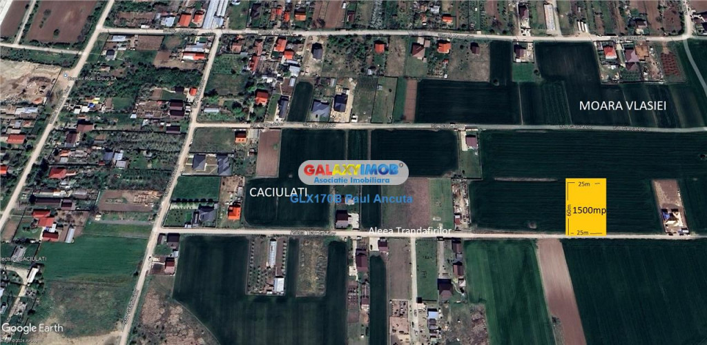 Teren Caciulati Moara Vlasiei 1500 mp lot casa acces rapid l