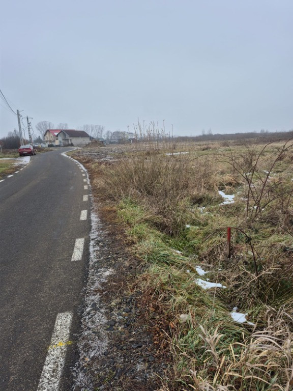 Seini, str. Tineretului, 60 ari teren