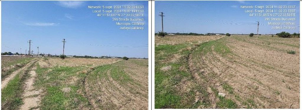 Teren Modelu, jud Calarasi, ID: 18949