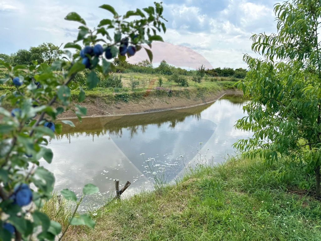 TEREN DE VANZARE - 29,656mp Bozanta Mica