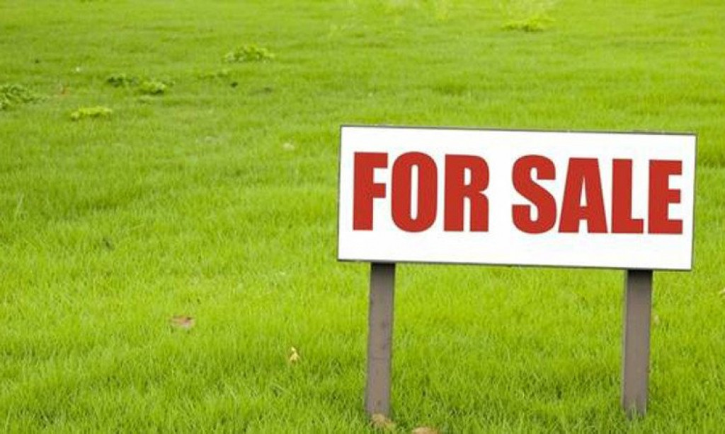 Oportunitate de investitie! Teren 5700 mp. Horodnic de Jos