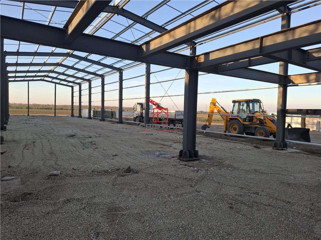 Depozit/hala/spatiu industrial Pantelimon - Centura, ILFOV