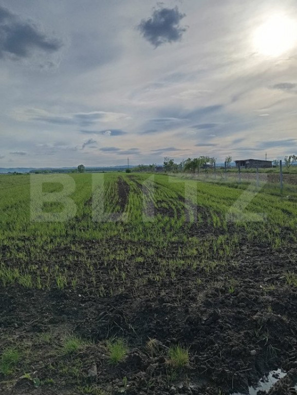 Teren intravilan cu 2 drumurie de acces.