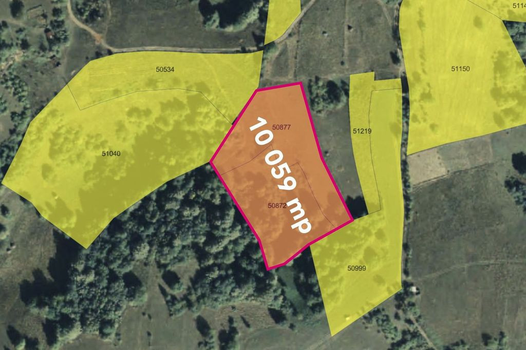 Teren cu panoramă fabuloasă, 10.059 mp, Roșia. 19.000 ...