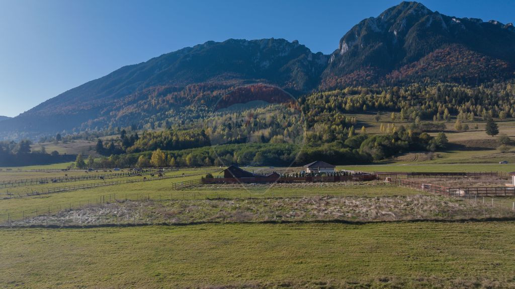 Teren de vânzare 2,100mp Plaiu Foii / Stradă Pleașa - ...