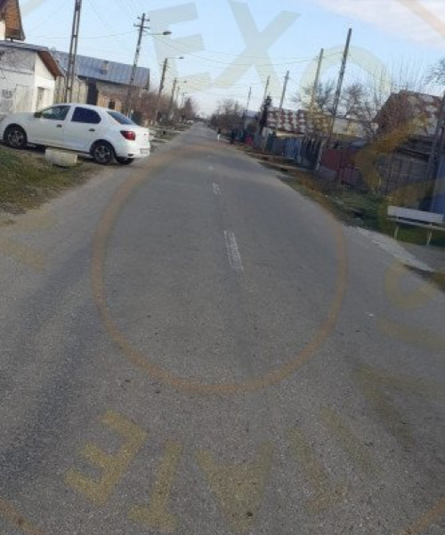 CASA 2 CAMERE GOLESTI