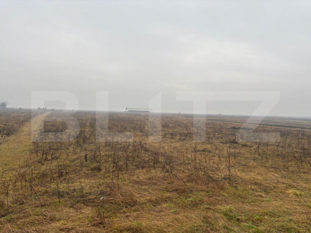 Teren Intravilan, 3000 mp, zona Chintelnic