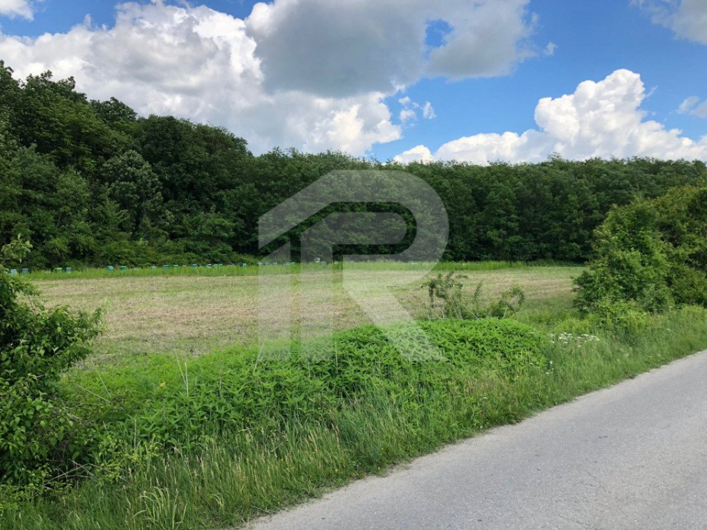 Teren intravilan, Varnita langa padure, Sirna, investitie