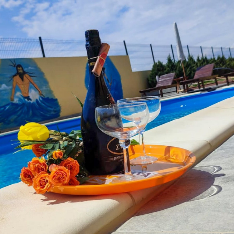 Pensiune situata in Costinesti, CU PISCINA, SAUNA SI SALA FI