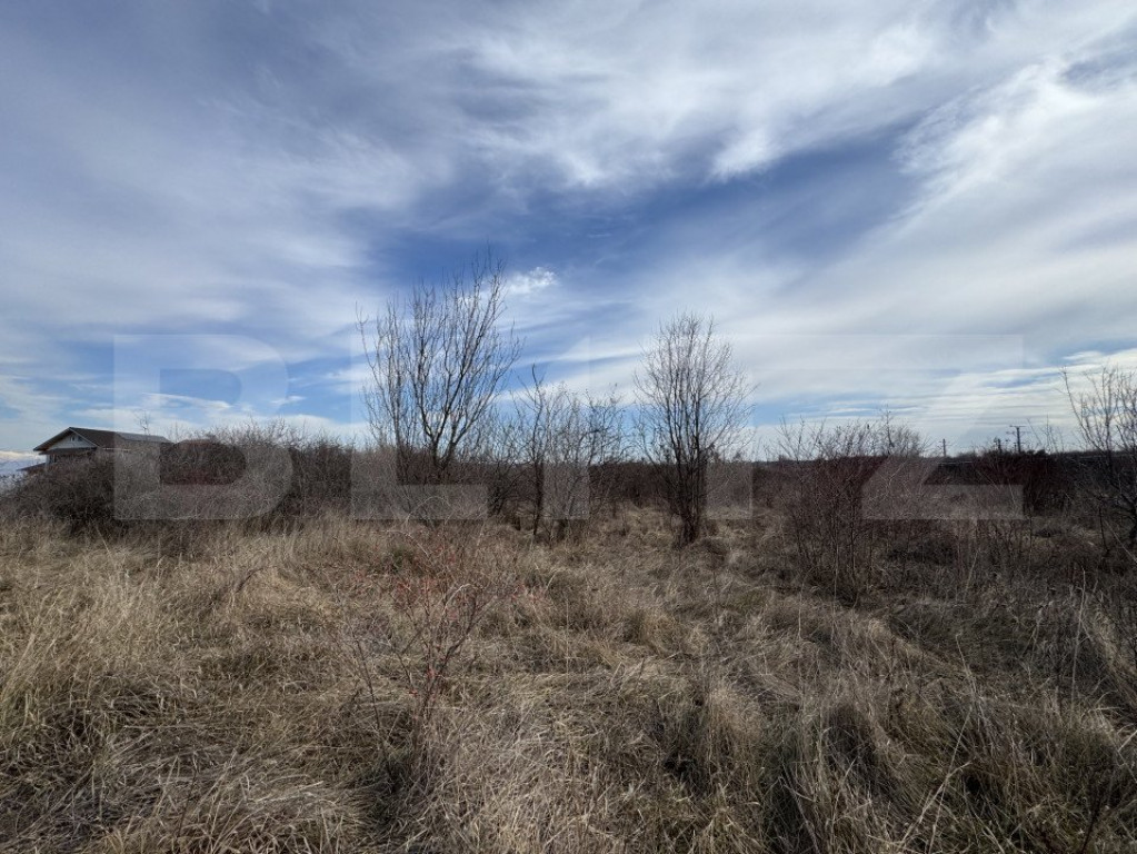 Teren extravilan de vanzare, 15.000 mp, zona Narcise II