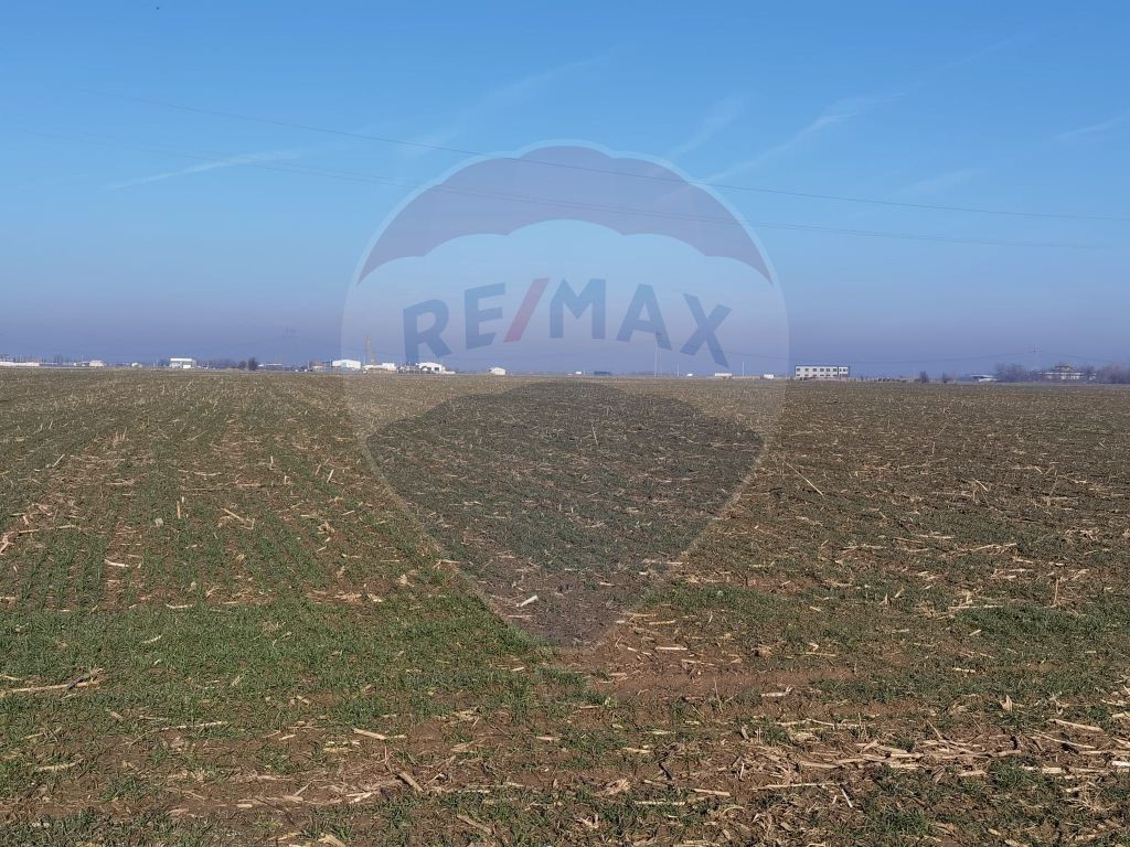 Teren Intravilan Arabil 7500 mp | Bolintin-Vale / Strada ...