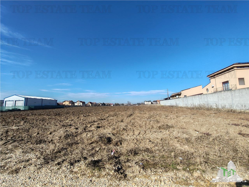 Balotesti - Teren intravilan cu toate utilitatile