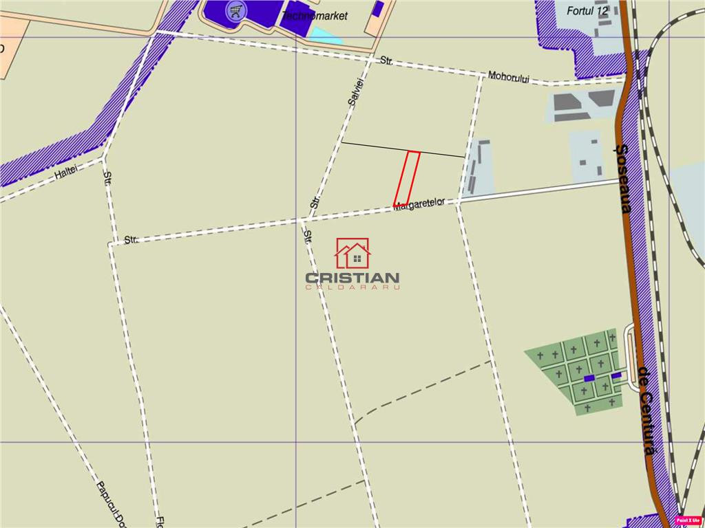 Teren Domnesti - Centura, ILFOV