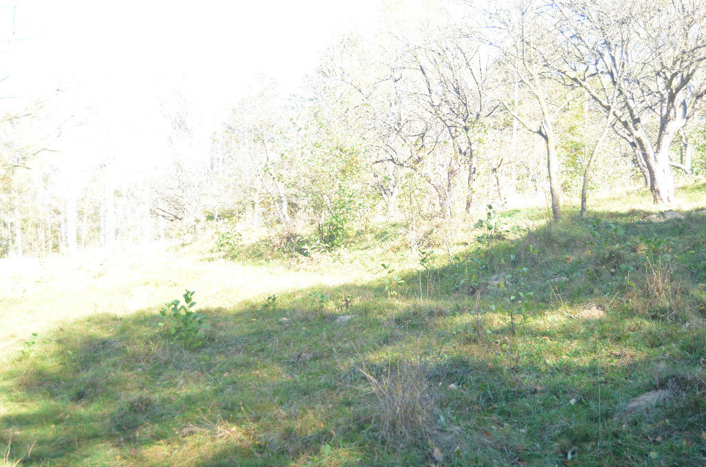 Teren intravilan situat in Bran-Tohanita