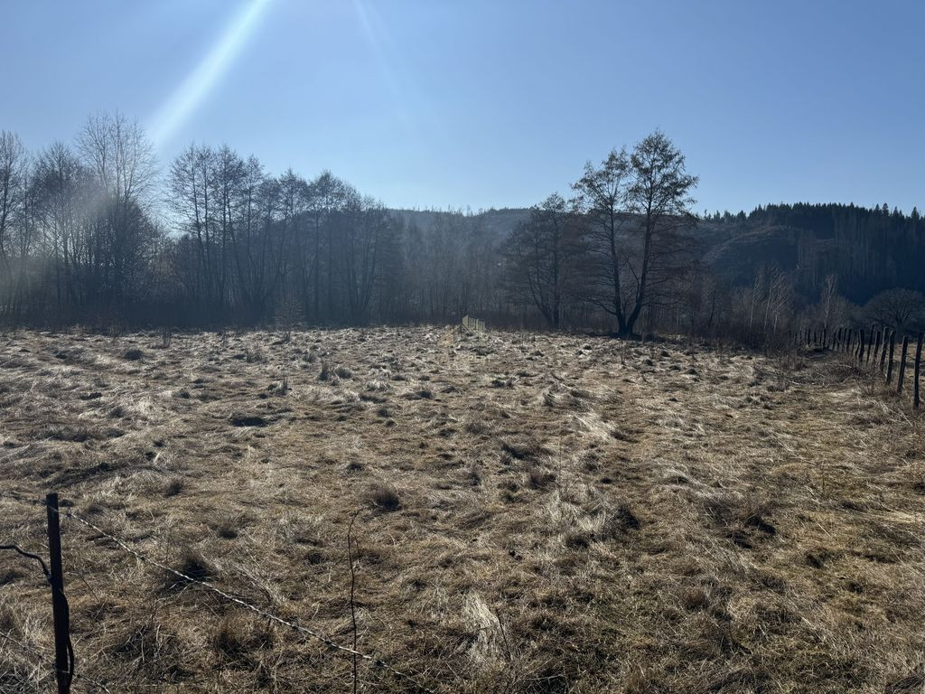 TEREN INTRAVILAN 5000MP, LERESTI, ARGES