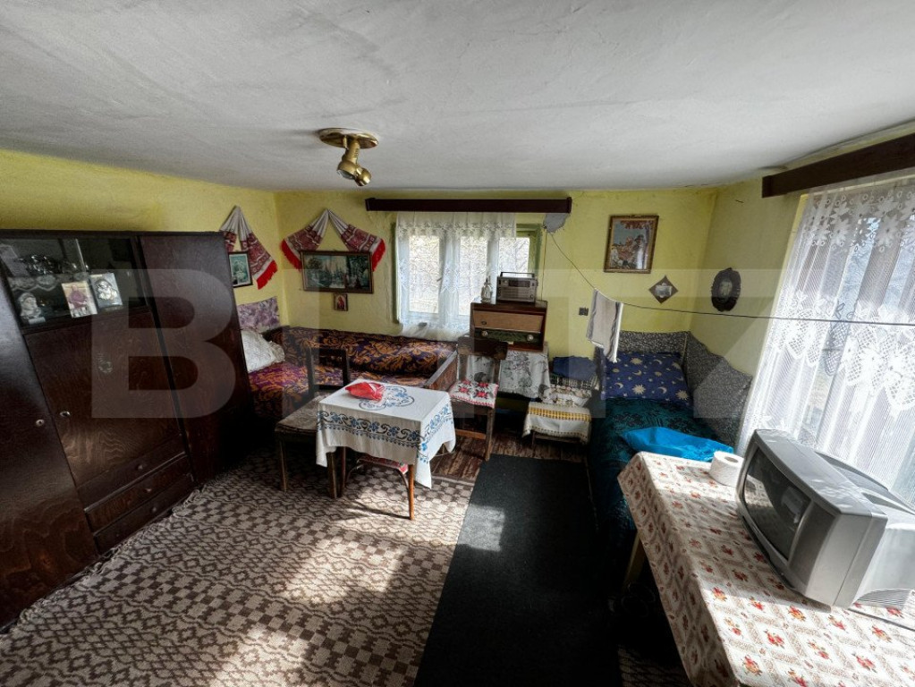 Castă in centrul orasului Zlatna