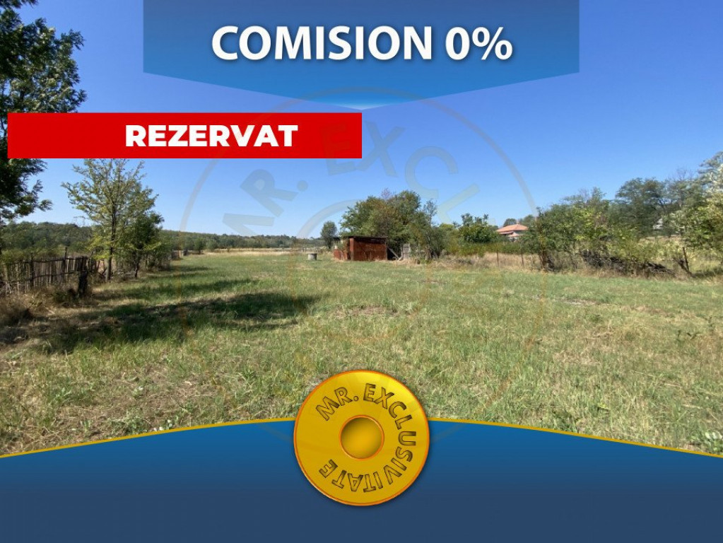 Teren 13329 mp in loc. Albota-Mares. COMISION 0%