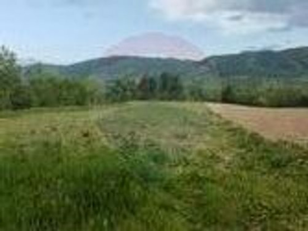 Teren 4,348mp Copalnic / Strada Dambu Fagadaului