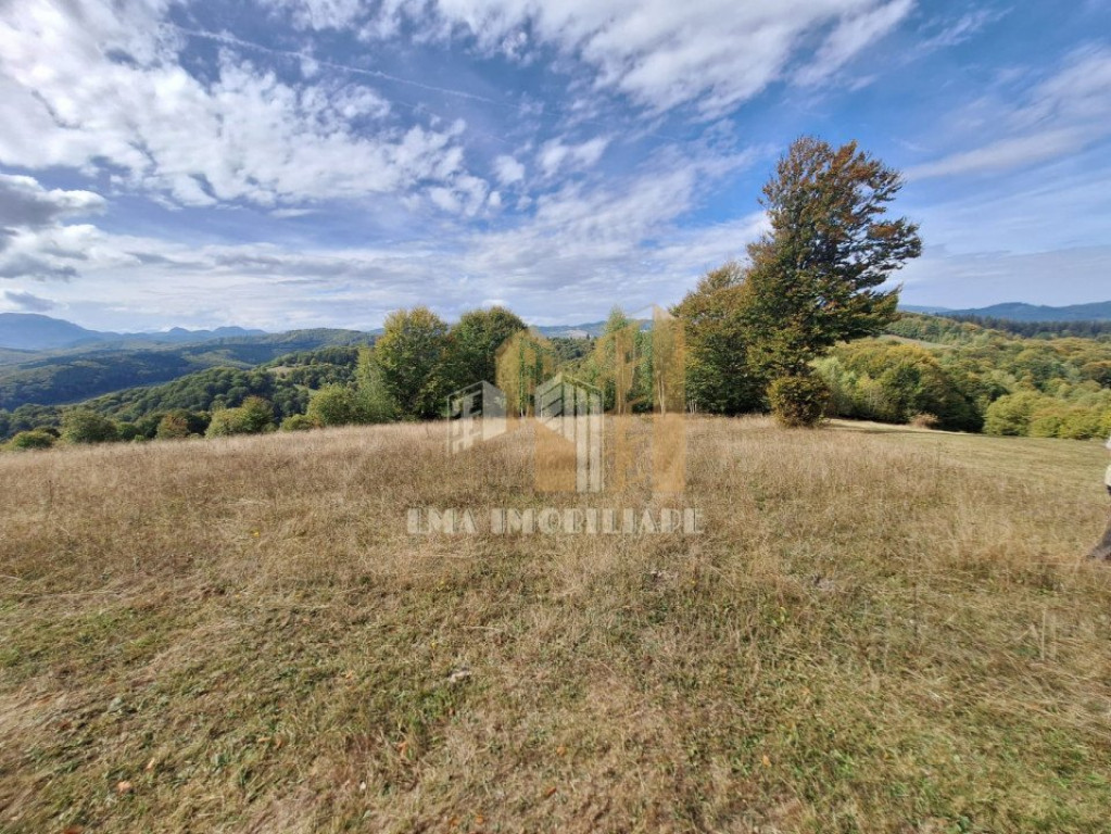 Teren Intorsura Buzaului Dealul Frumos