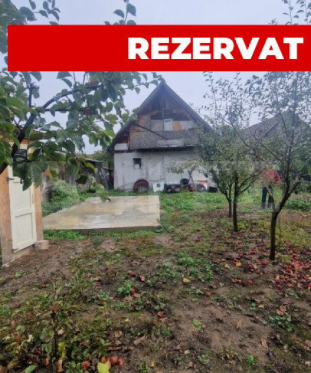 Casa in inima Brasovului sub munti, 1000 mp teren si livada