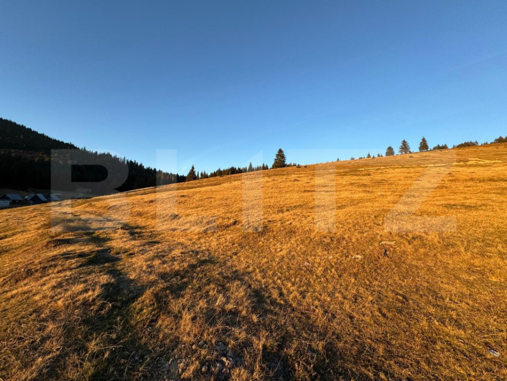 Teren intravilan 300 mp, zona Arieseni