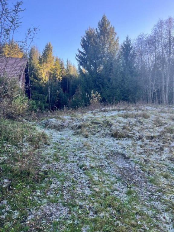 Teren intravilan, 20000 mp, zona Manastirea Humorului