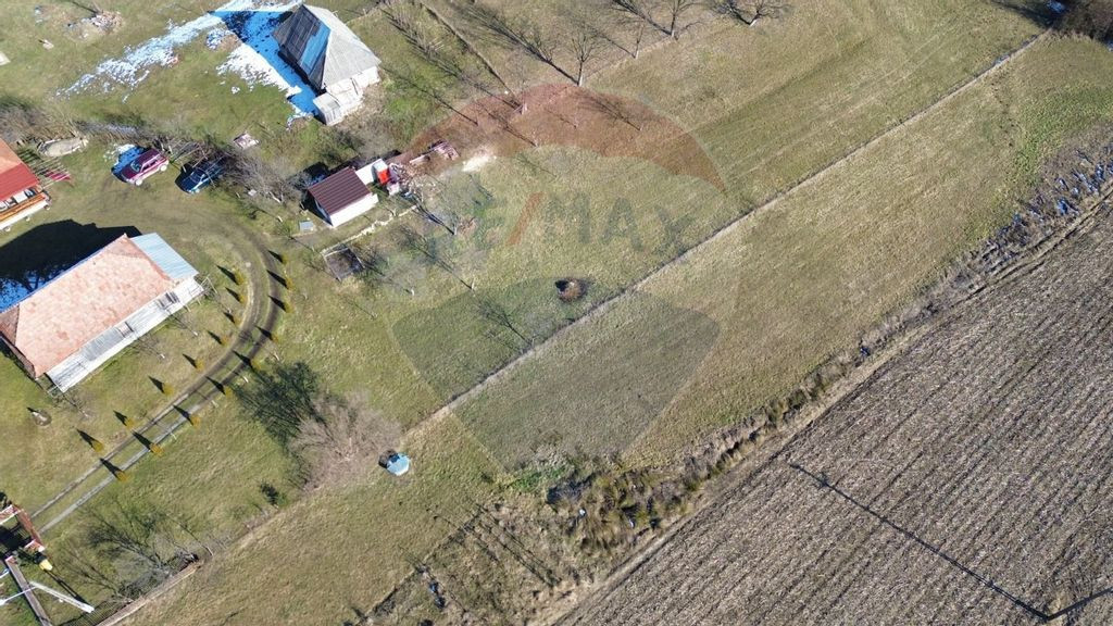 Teren contrucție casă în Berința, la șosea, cu toate...