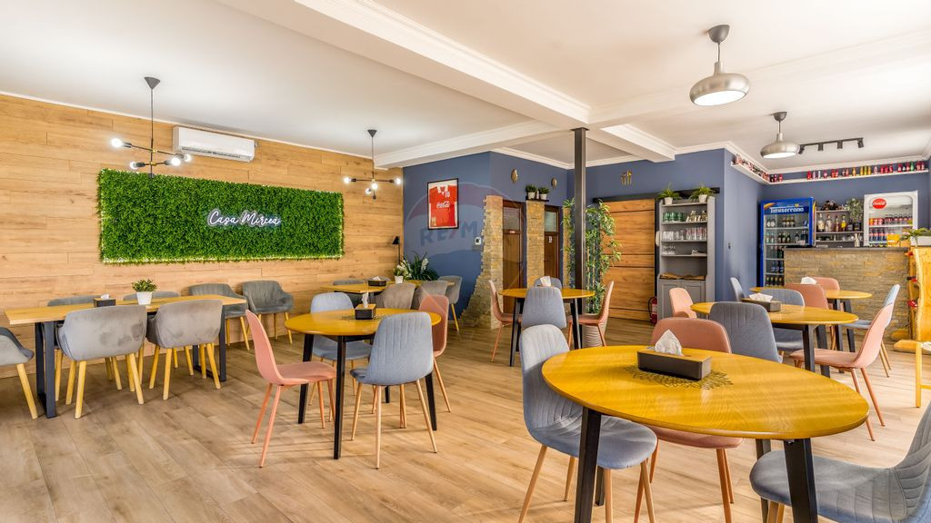 Pensiune de vânzare in Bistrița Năsăud