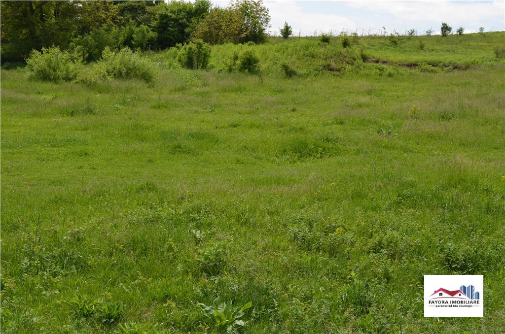 Teren de in Zona Livezeni