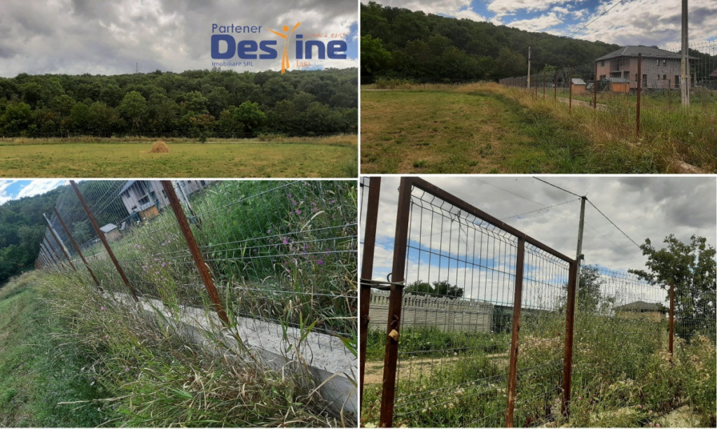 Lot 3 parcele teren intravilan 3234 mp, utilități la limit