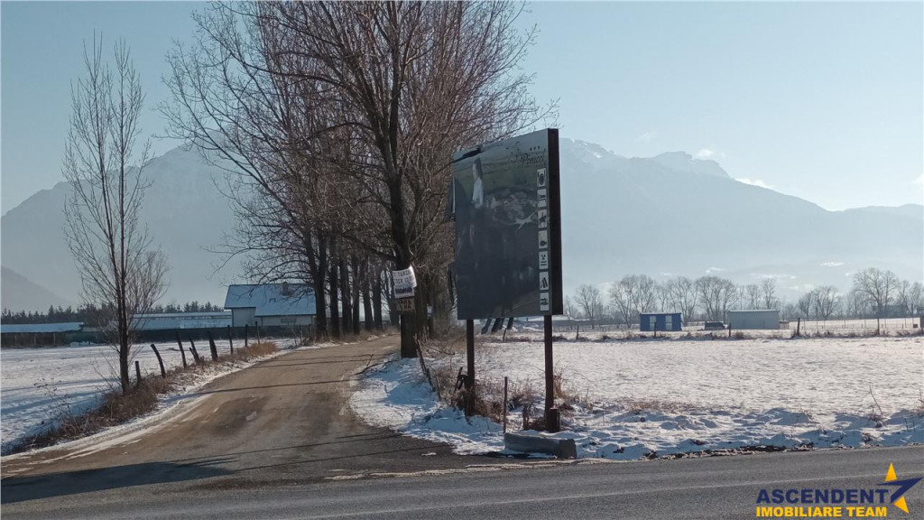 FILM! Teren imprejmuit proiect de casa autorizatie de con
