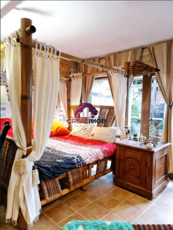 Ofer spre studio de lux, in vila-zona brancoveanu (Agent Io