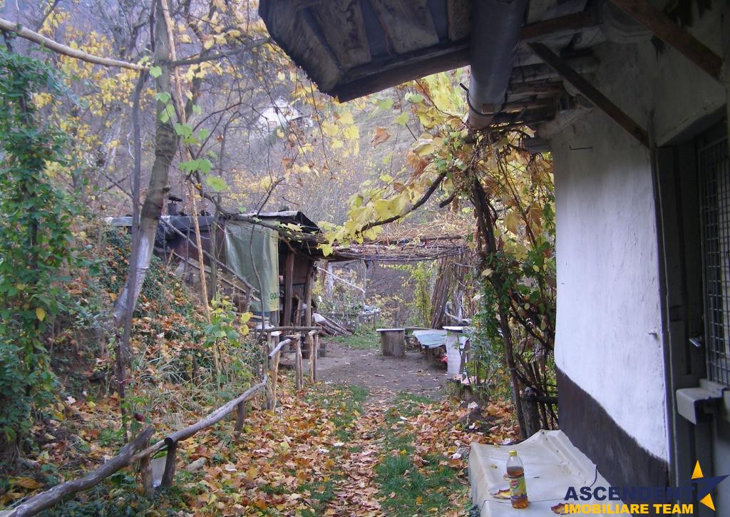 Teren intravilan 20.000mp, cu utilitati si sursa proprie apa