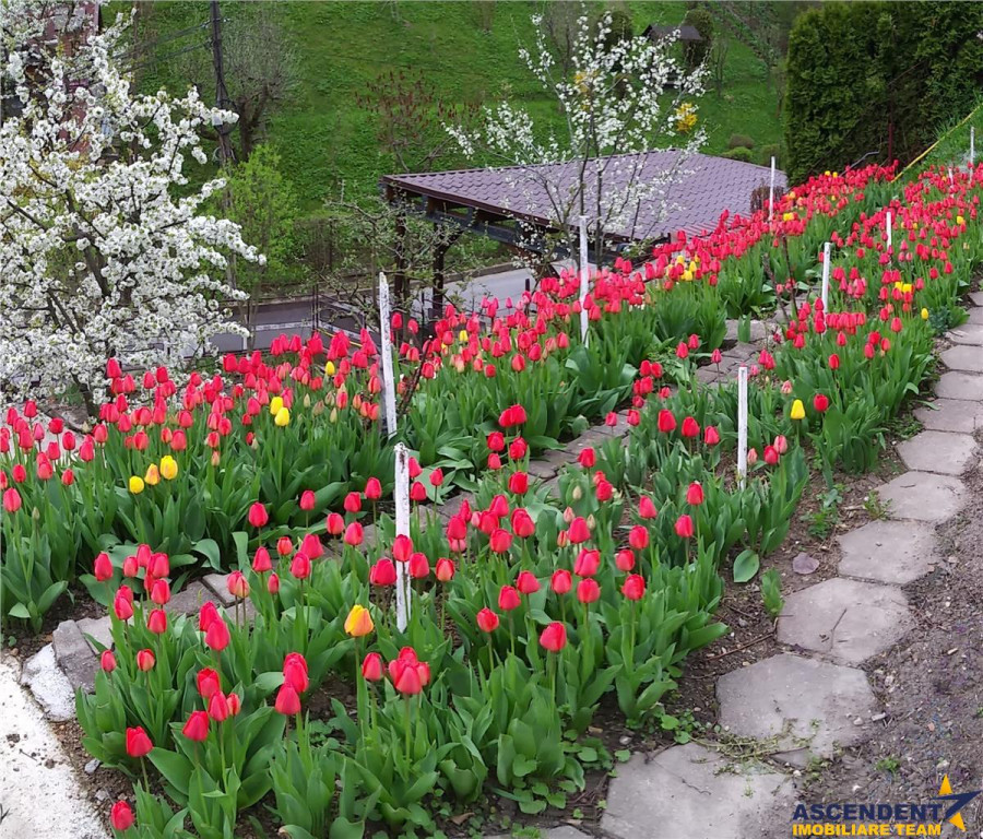 Proprietate in stil rustic, cu loc parcare in curte, Scheii